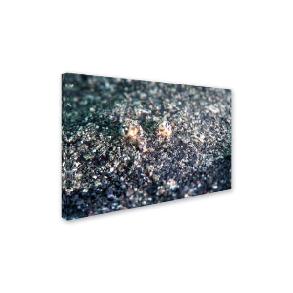 Robert Harding Picture Library 'Dark Abstract Texture' Canvas Art,22x32